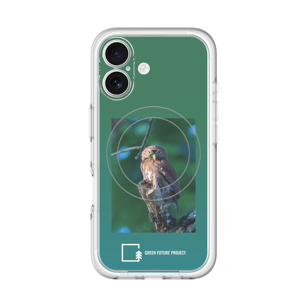 Ferruginous Pygmy Owl