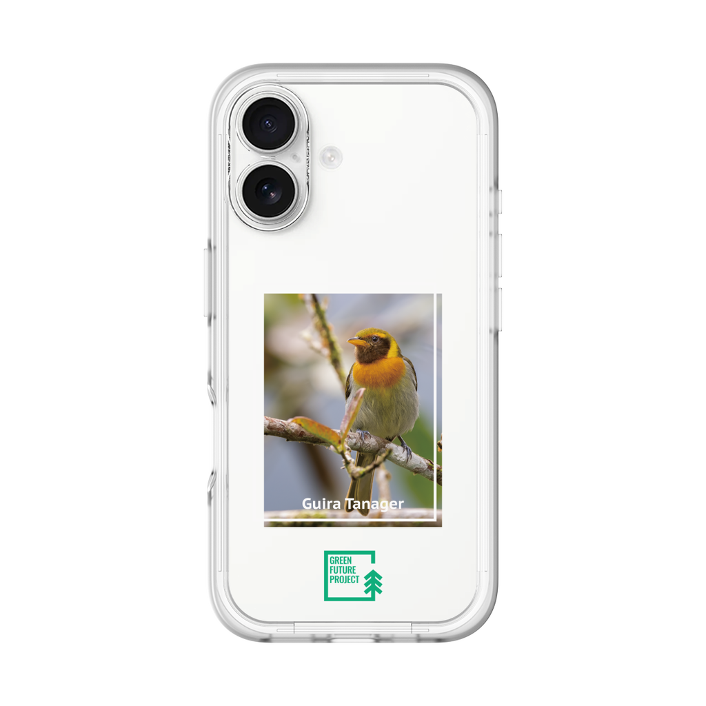 Guira Tanager
