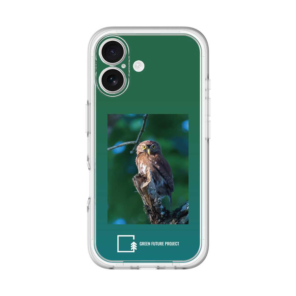 Ferruginous Pygmy Owl