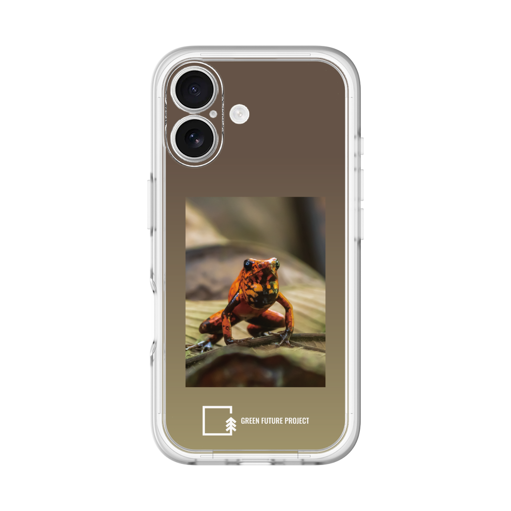 Poison-dart Frogs