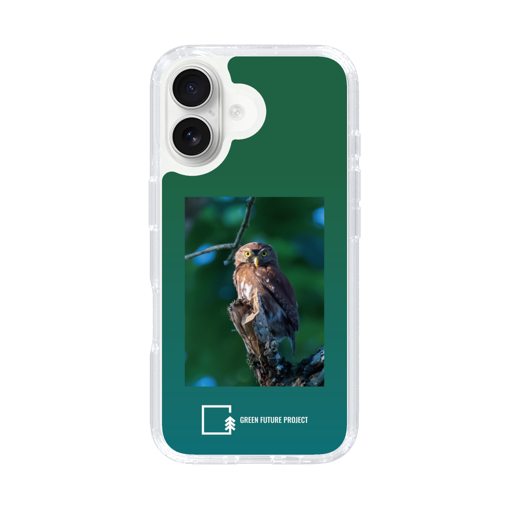 Ferruginous Pygmy Owl