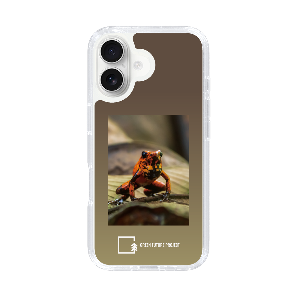 Poison-dart Frogs